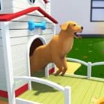 Simulateur de vie de chien